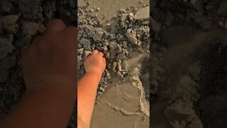 silver beach Detecting #shorts