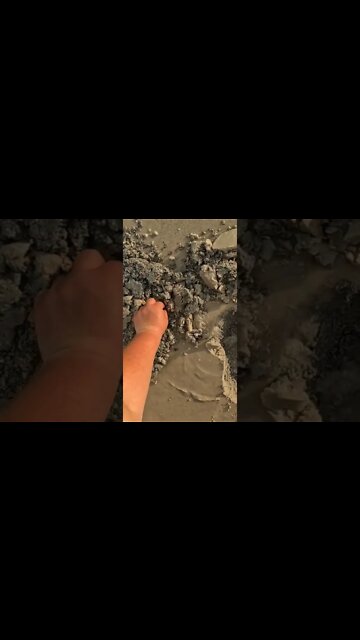 silver beach Detecting #shorts