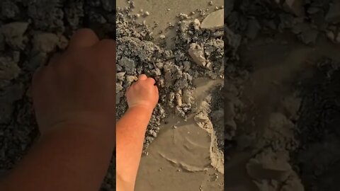 silver beach Detecting #shorts