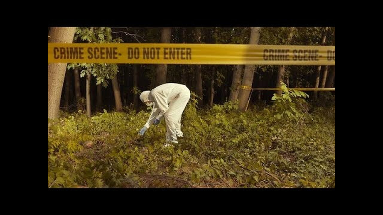 Creepiest Things Found In The Forrest