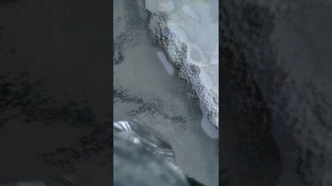 The most underrated video (this will be)