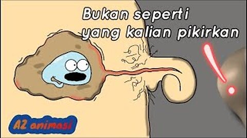 BUKAN SEPERTI YANG KALIAN PIKIRKAN