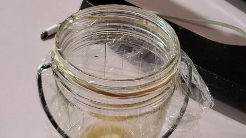 No more Fruit Flies with this proven method