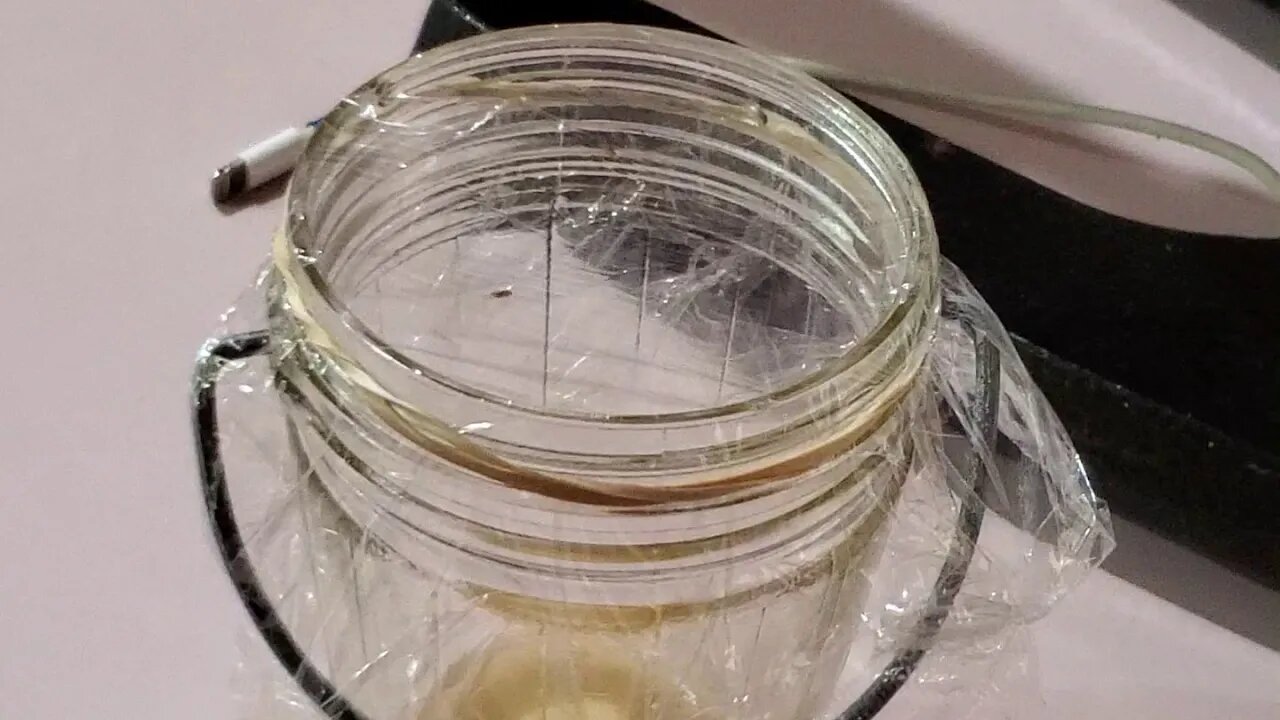 No more Fruit Flies with this proven method