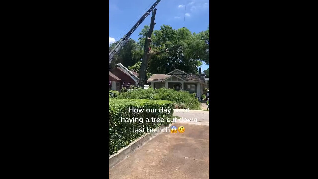 Massive Crane Collapses in Residential Neighborhood