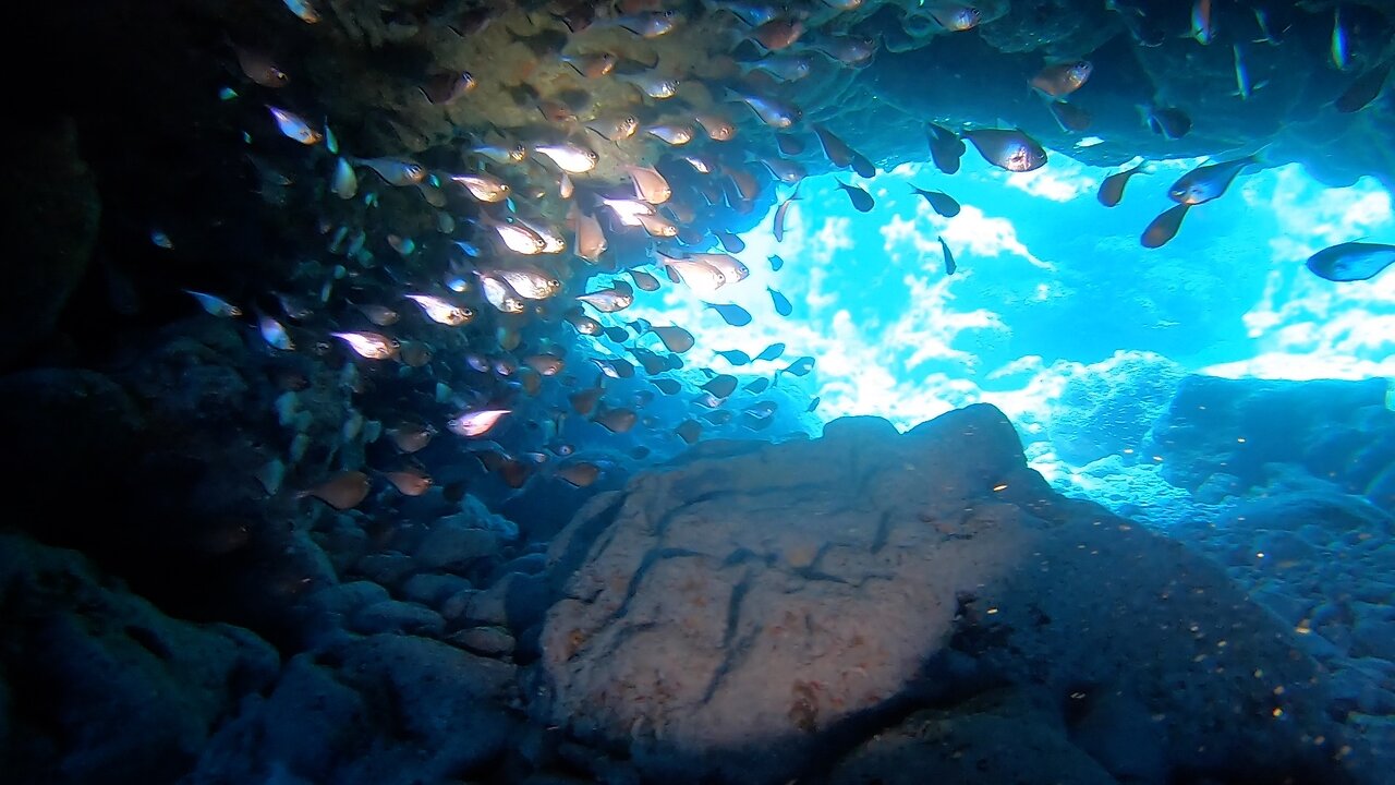 Reef Island and Christmas Tree Cave