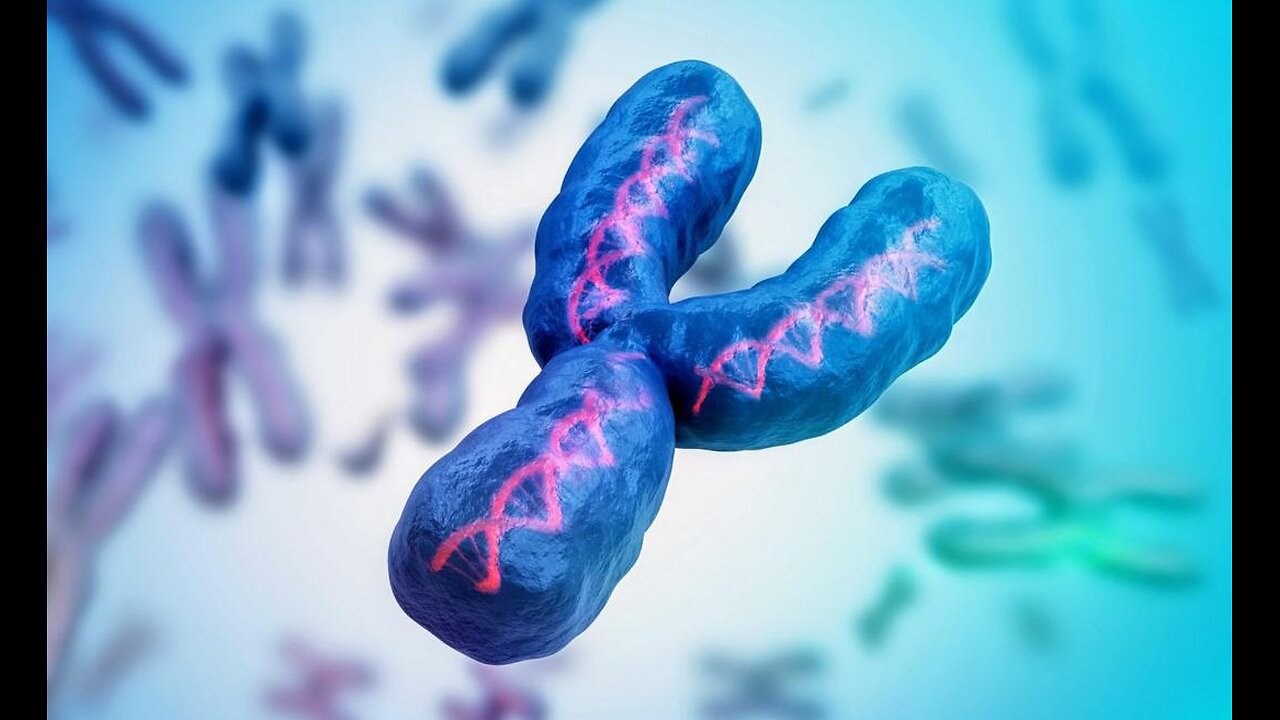 Y chromosome vanishing