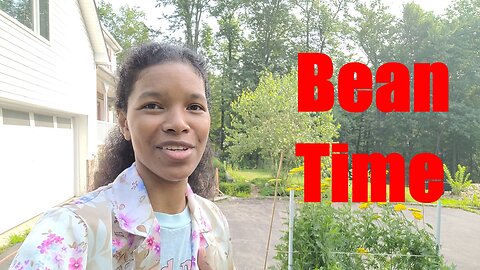 Last summer veg to plant & Bonus update