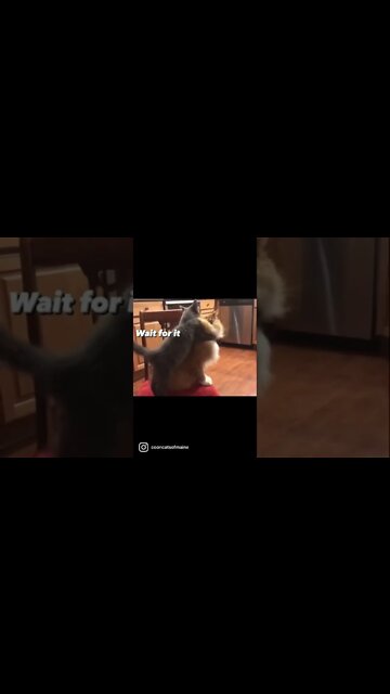 Mookie and Rudy fight club