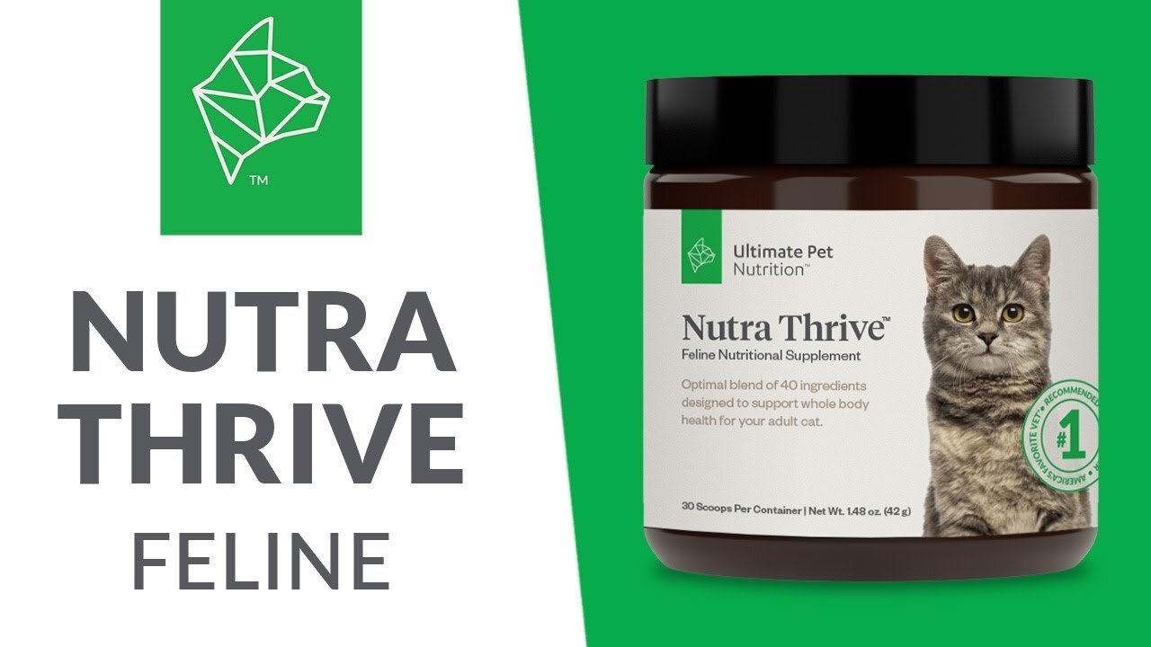 Nutra Thrive Nutra Thrive Feline | Ultimate Pet Nutrition