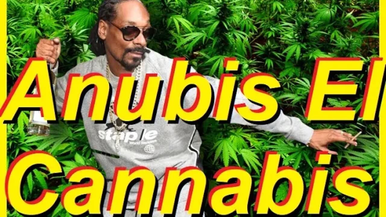 Cannabis El Anubis. Why the Dog Licks His Nuts.