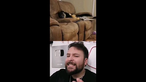 Perrito sueña y se despierta corriendo 😅