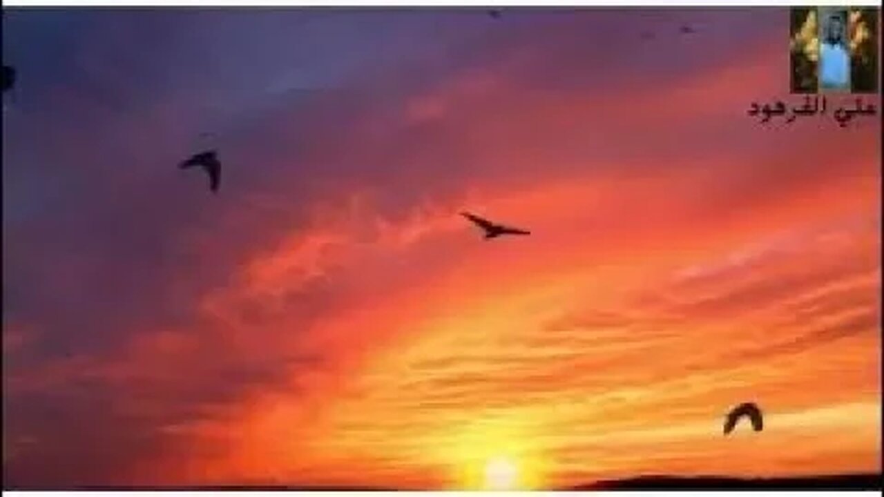 قران قبل النوم بصوت هادئ يريح القلب قران كريم علي الفرهود