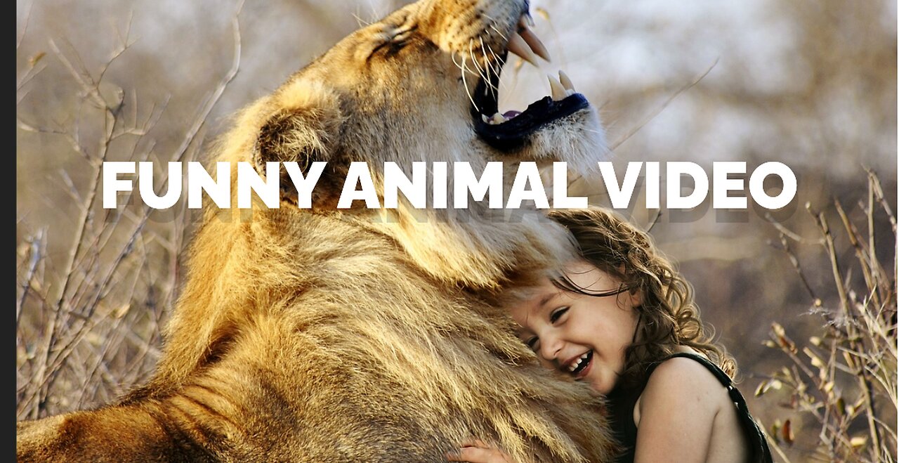 The Funniest Animal Videos to Brighten Your Day