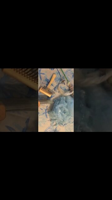 Thank you for the New Combs!