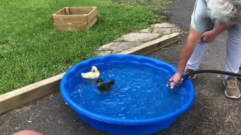 Saturday thing 98/thrunite flashlight giveaway