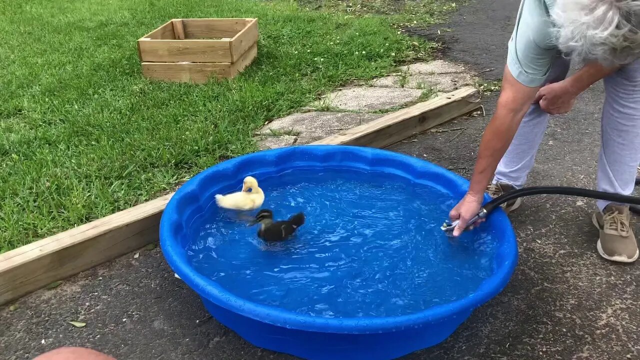 Saturday thing 98/thrunite flashlight giveaway