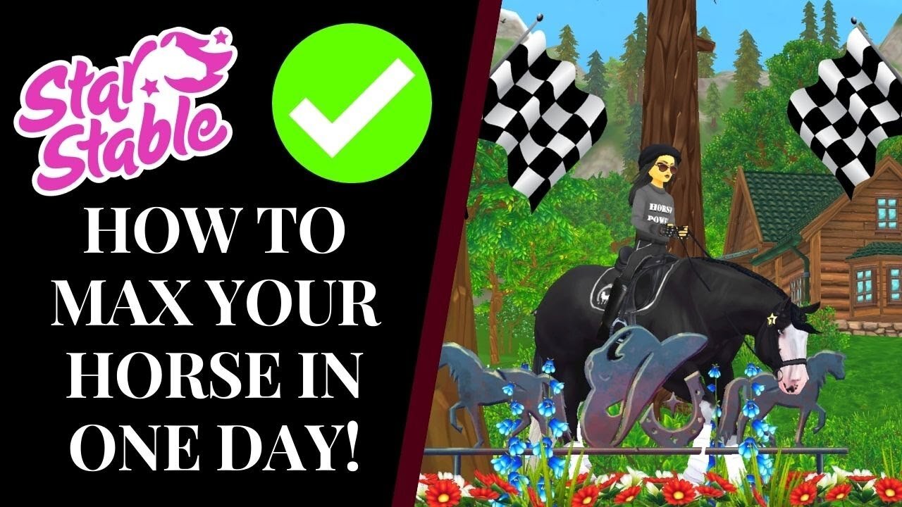 HOW TO *LEGIT* MAX YOUR HORSE IN ONE DAY! 🤩🏇 Star Stable Quinn Ponylord