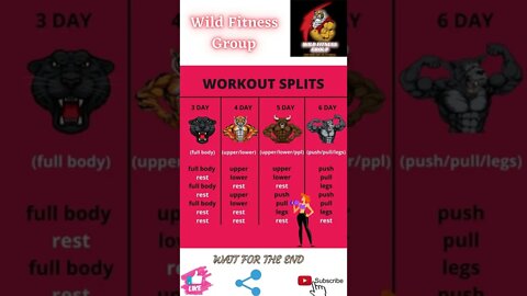 🔥Workout splits🔥#shorts🔥#wildfitnessgroup🔥6 April 2022🔥