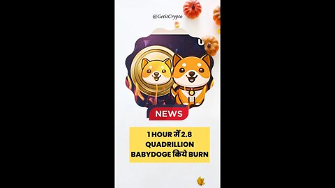 Babydoge News | 1 Hour में 2.8 Quadrillion Babydoge किये Burn #shorts