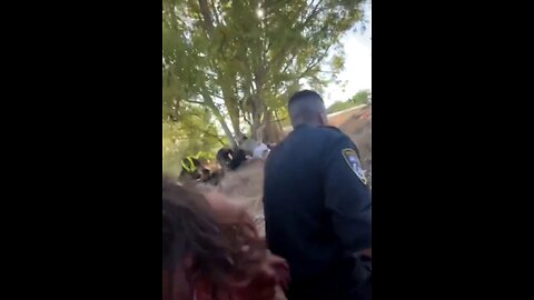 New Video Inside Israel Music Festival Shows Police Doing Everything They Can To Protect People