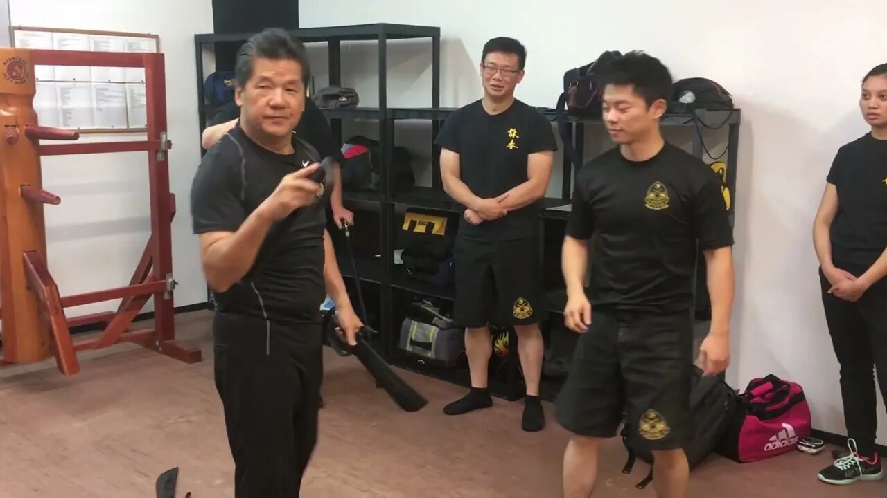 Wing Chun - Baat Jaam Do / Butterfly Swords Flow and Application