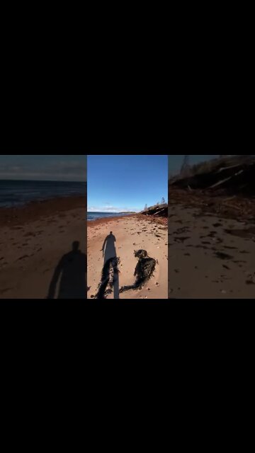 Walking Through Robinsons Island PEI