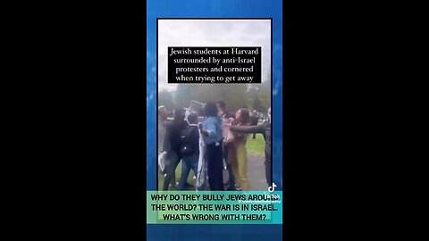 Jewish students at Harvard being attacked by pro-Palestine students