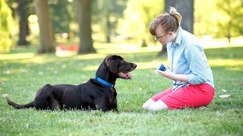 DOES YOUR DOG IGNORE YOUR COMMANDS? (WATCH THIS!)