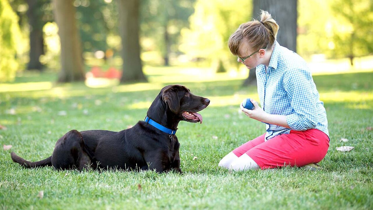DOES YOUR DOG IGNORE YOUR COMMANDS? (WATCH THIS!)
