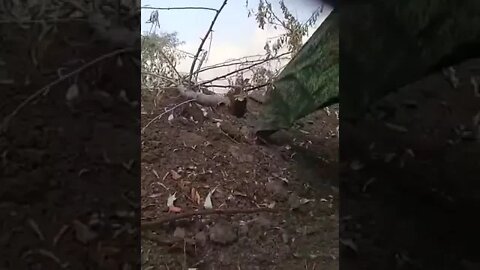 Everyday life of Russian Volunteers in the zone of SMO