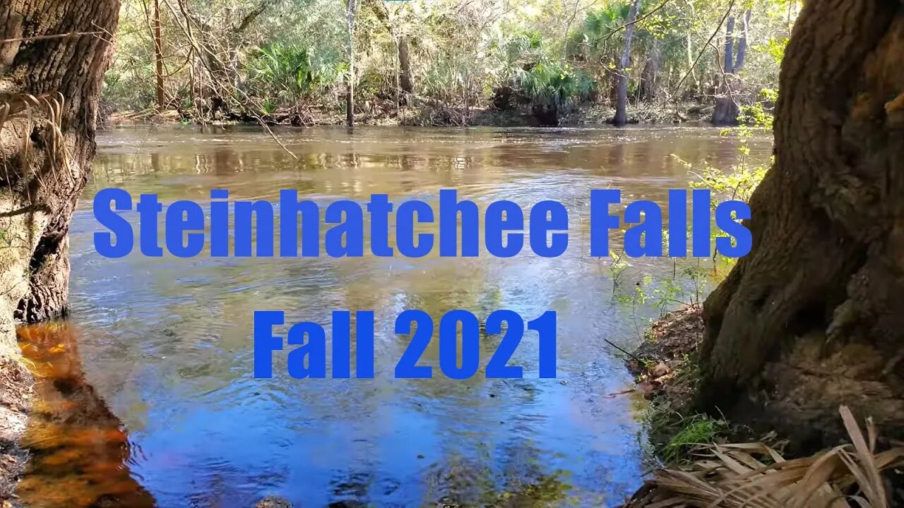 Steinhatchee Falls - Fall 2021