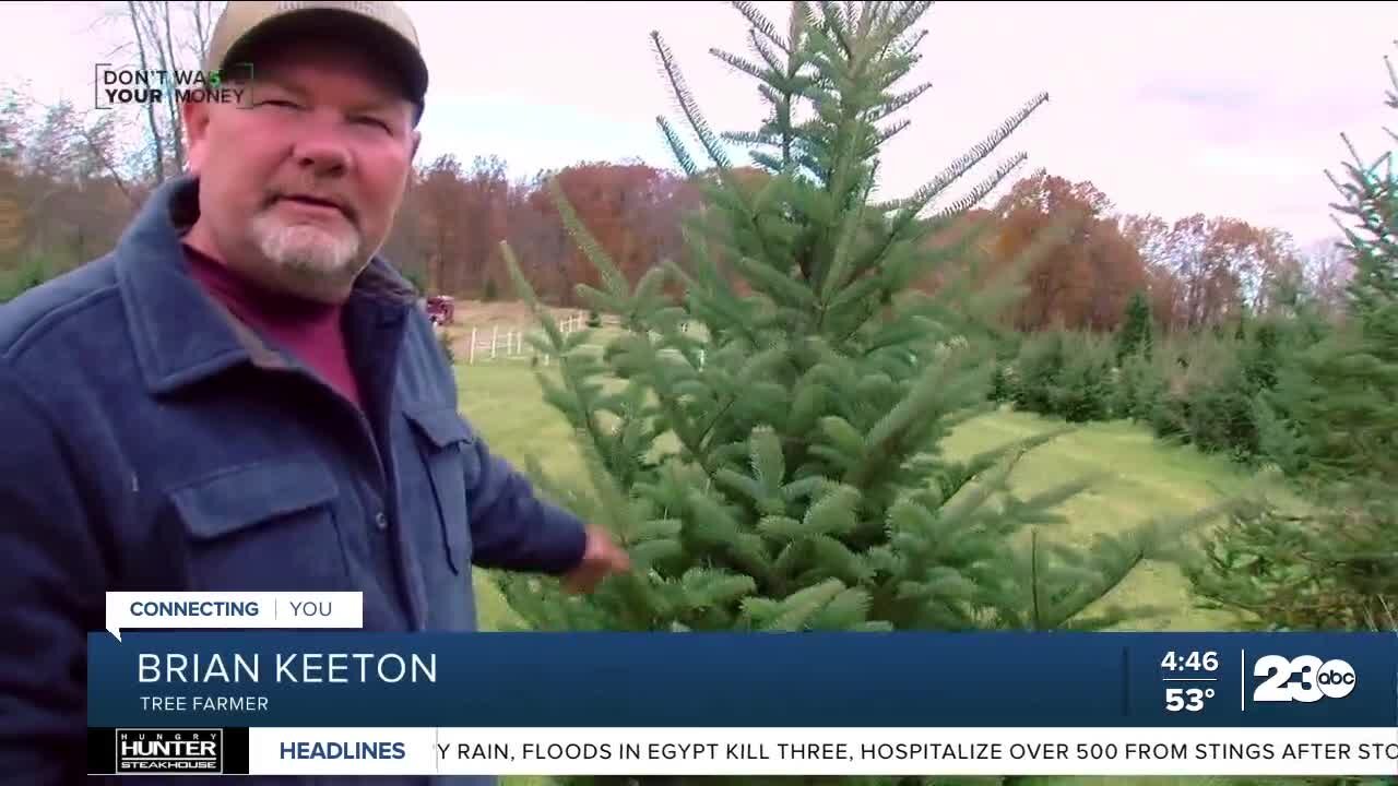 Don't Waste Your Money: Now there's a Christmas tree shortage, too