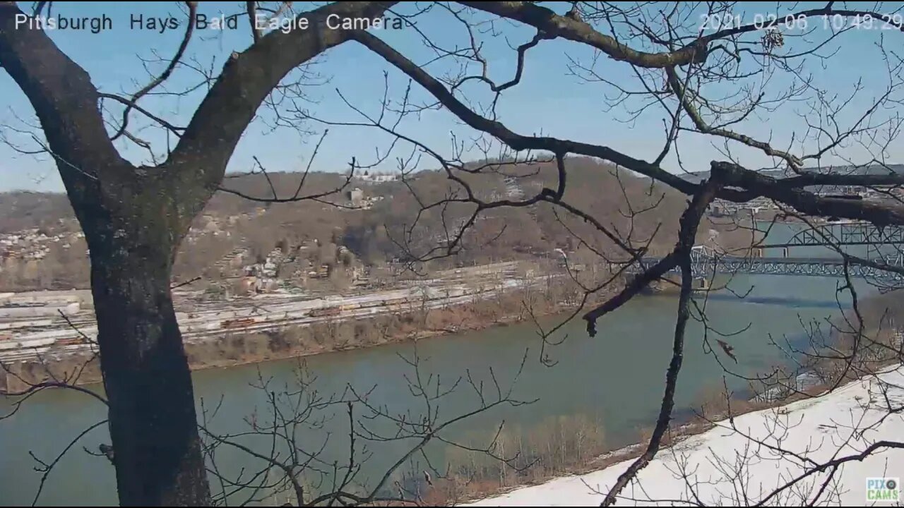 Hays Eagles Dad chases adult intruder in the sky 2021 02 06 1048AM