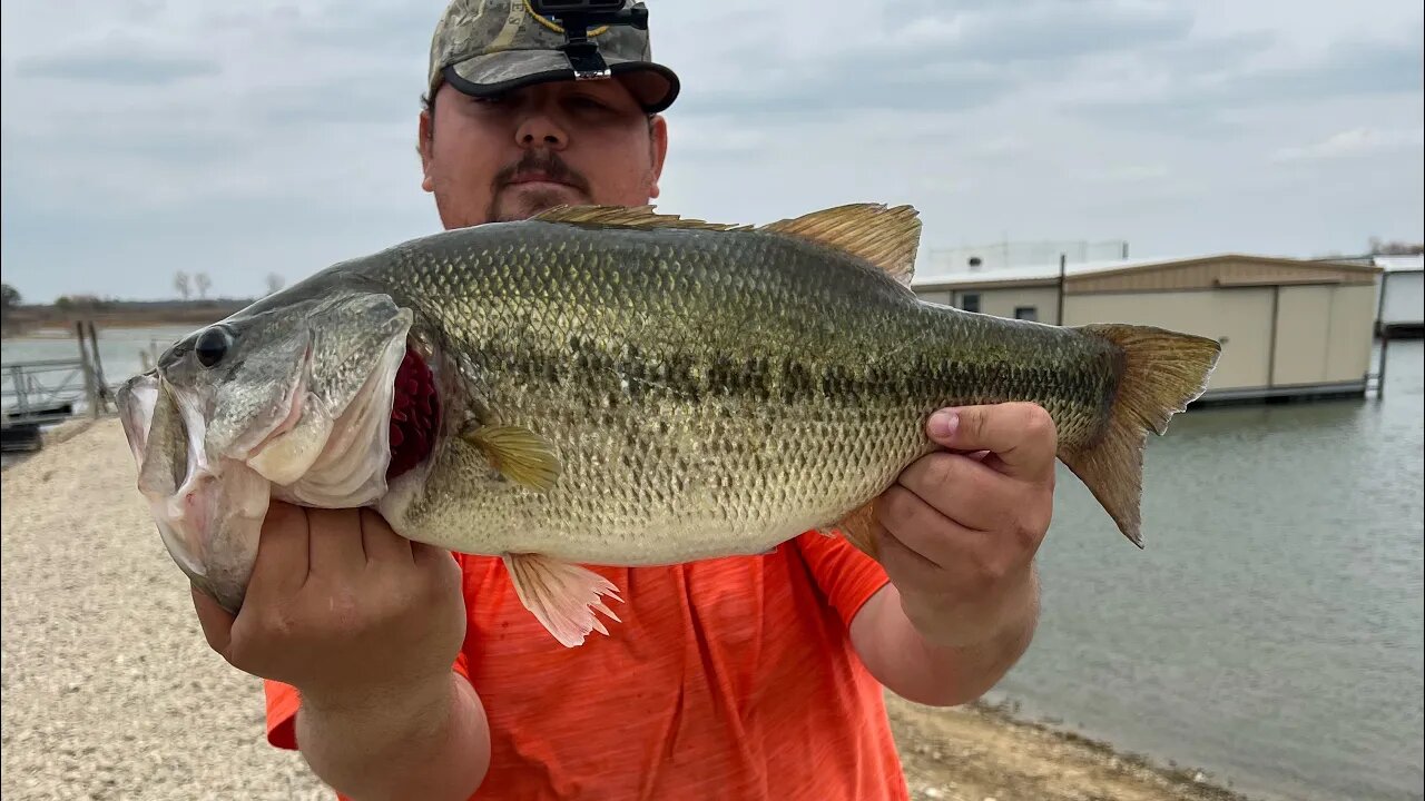 6 Pound Monster Eats Tiny Lure