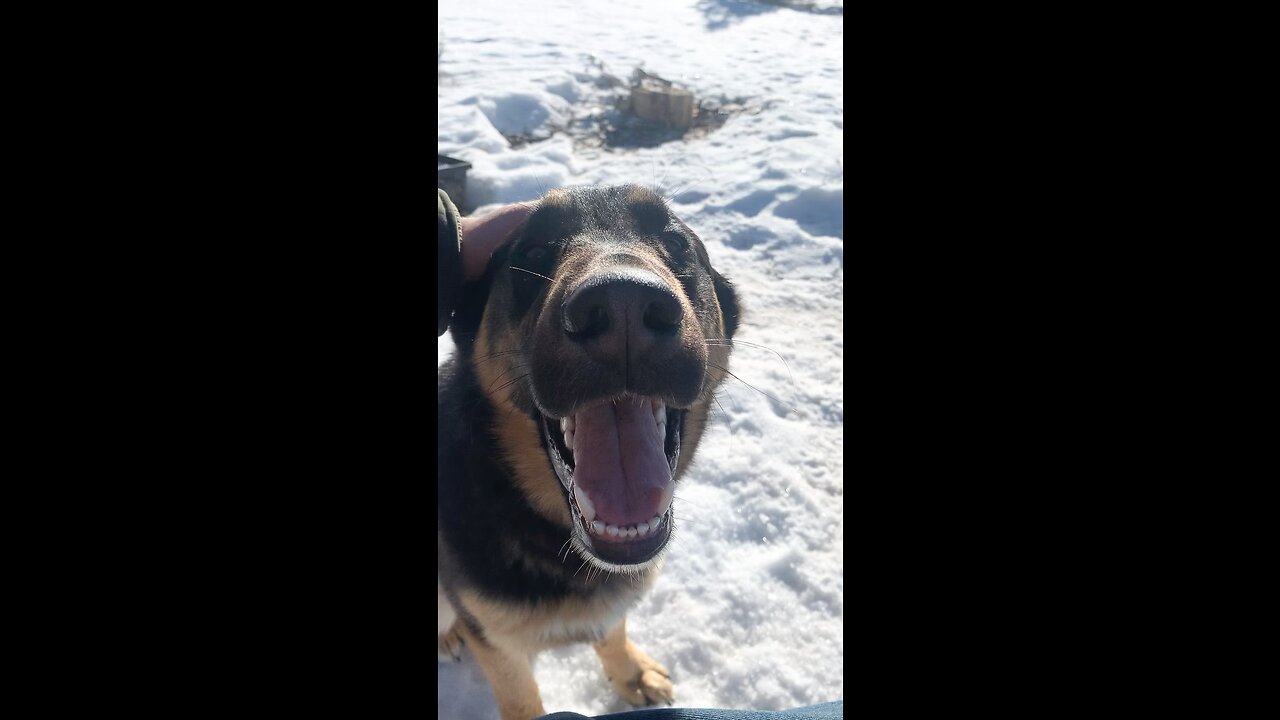 Omar on a Sunny Afternoon