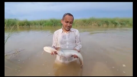 Fishing _ Incredible Tribal Method to Catch Fish _ Fishing Skill _ Mubashir Saddique _ Village Food