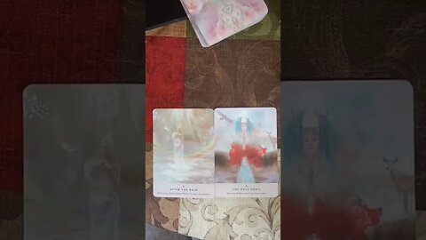 After The Strom Comes Rainbows / Accepting Your Divine Path