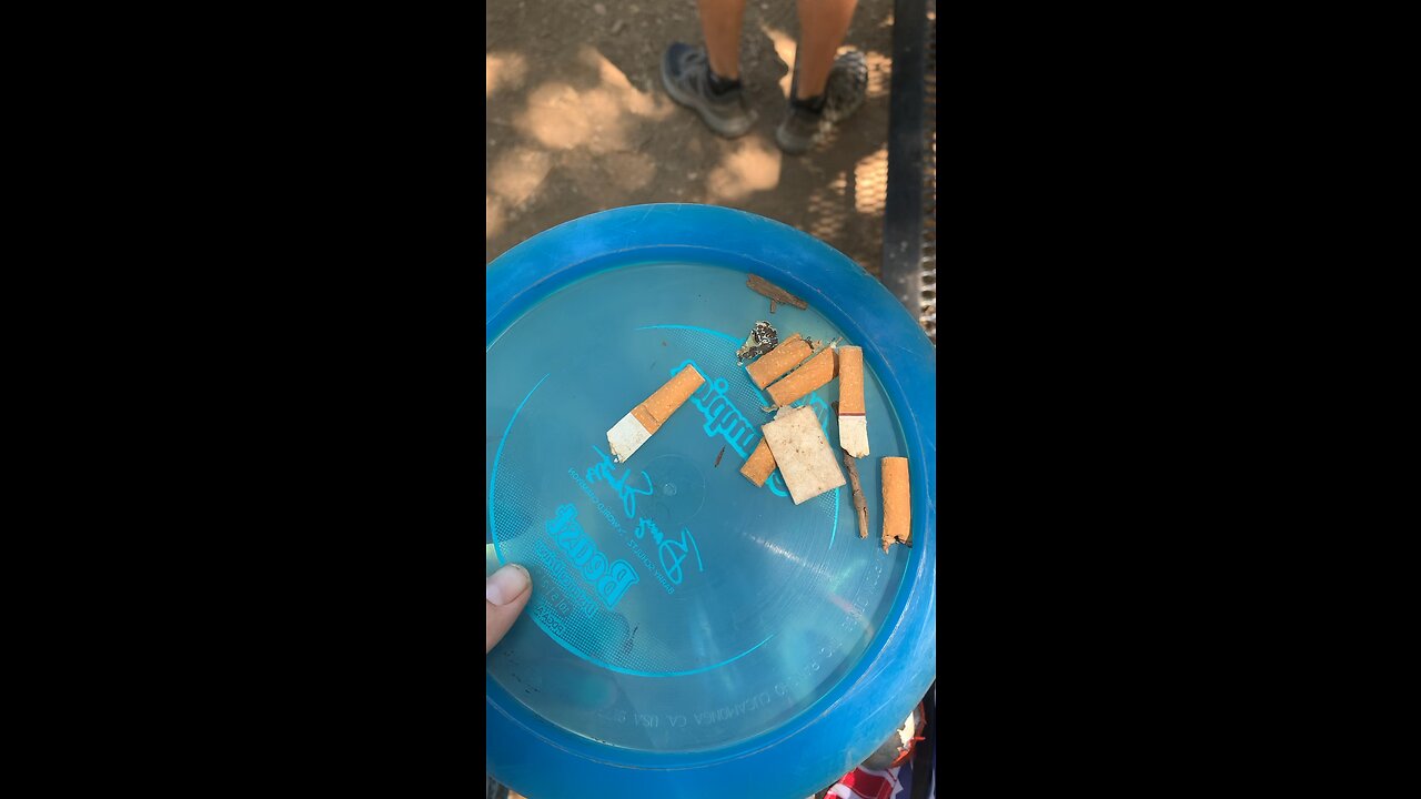 Auburn discing pt.2
