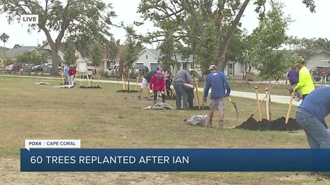 Arbor Day Foundation grant replaces trees lost in Hurricane Ian at Cultural Park