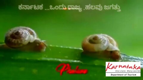 Gandada gudi karnataka.Naavaaduva nudiye ನಾವಾಡುವ ನುಡಿಯೇ