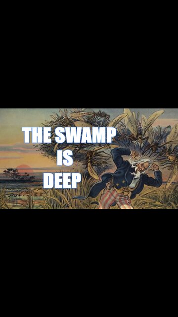The Swamp is Deep