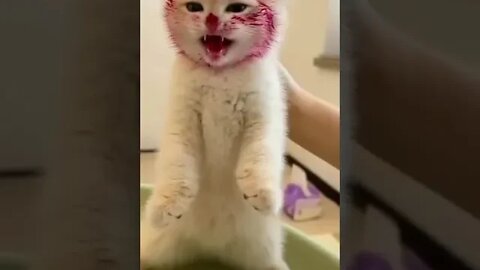 New Farlight 84 Syfer شخصية اصبحت خارقة