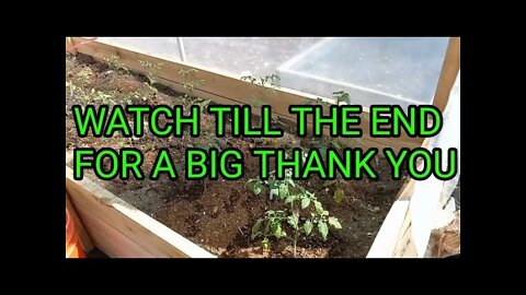 5/29 GARDEN WALK AROUND AND UPDATE WITH A BIG THANK YOU.