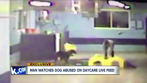 Video shows worker at dog daycare in Tallmadge kicking dog