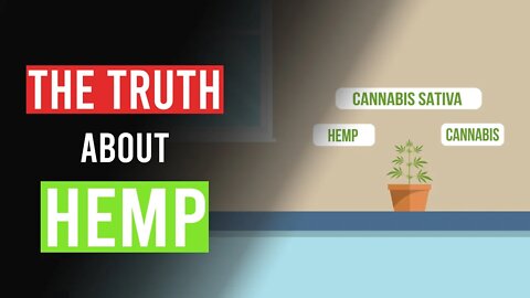 Hemp & Cannabis: Whats the Difference?