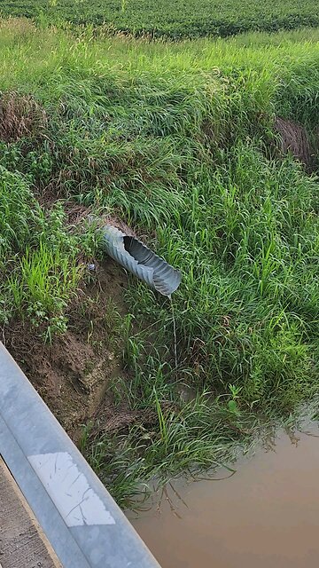 Hoosier Country ❤️