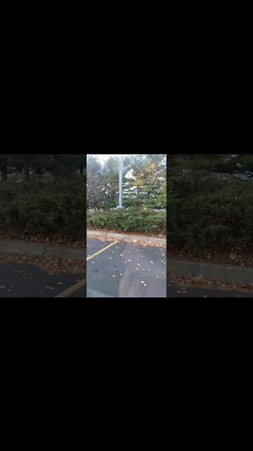 NOOO go away... GO AWAY!!!