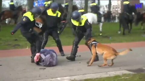 Peaceful anti-lockdown& corona protests in the Netherlands where openly torturing people was normal