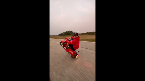 Honda spree wheelie